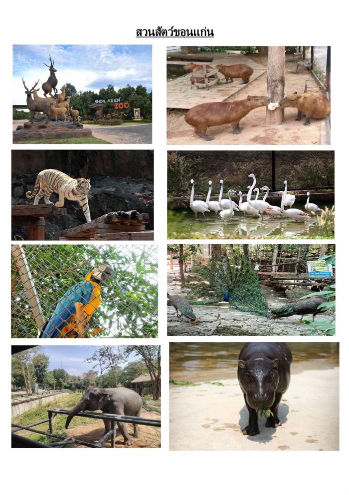 แหล่งท่องเที่ยว สวนสัตว์ขอนแก่น